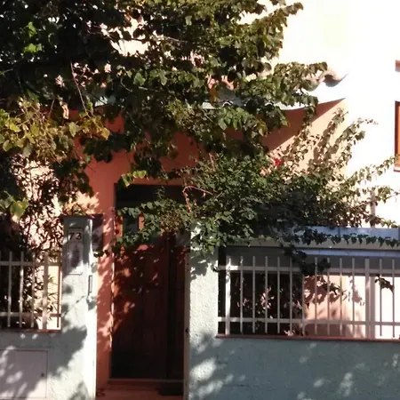 L'abete *