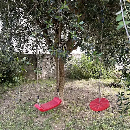 L'abete Guspini